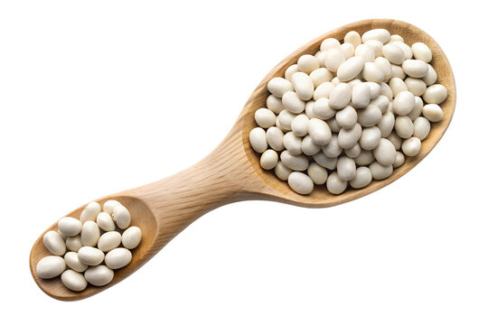 white navy beans in wooden spoon isolated on transparent background png