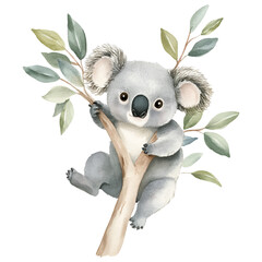 Cute watercolor koala sitting on a eucalyptus branch png. Watercolor koala sitting on a tree branch, on an isolated background. Vector illustration. © Narin