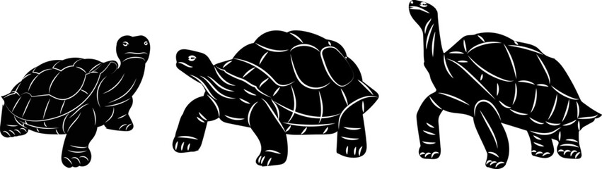 turtles crawling silhouette on white background vector