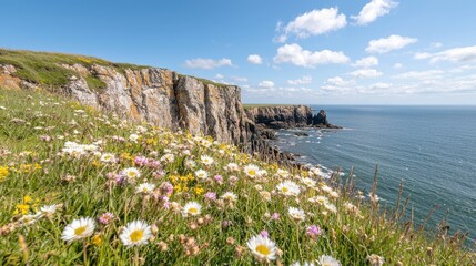 Coastal wildflowers bloom overlooking dramatic cliffs and ocean