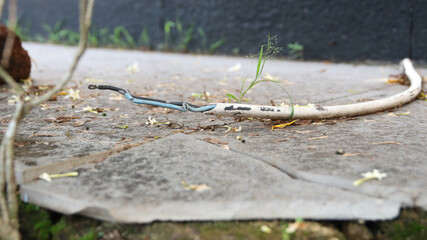 closeup of stripped joints of electrical cables