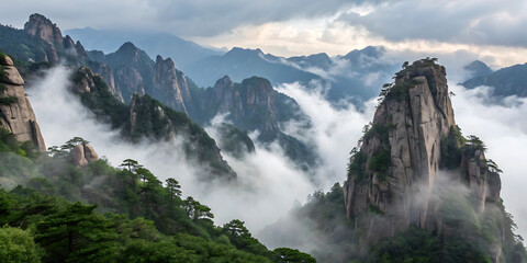 Naklejka premium landscape in the morning
