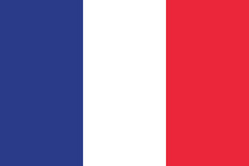 Flag of France. Flag icon. Standard color. Standard size. A rectangular flag. Computer illustration. Digital illustration. Vector illustration.
