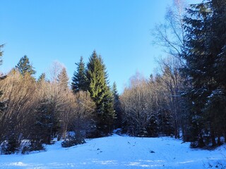 The wonderful colours of Winter