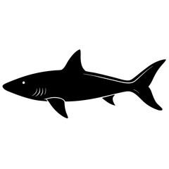 Fototapeta premium slim head shark on white background