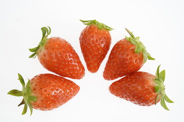 新鮮な朝取りイチゴ　章姫　大阪府産