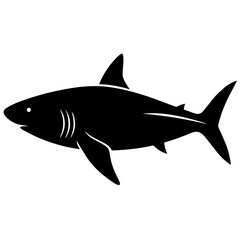 Obraz premium a hungry shark