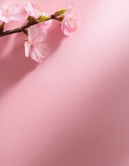 穏やかな春を感じるペールピンクの背景に、ふくらむ桜のつぼみが彩る優美な情景
