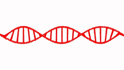 DNA Strand animation. Abstract red colored shiny DNA molecule on futuristic digital background. DNA molecules. Human DNA genome double helix spiral animation.