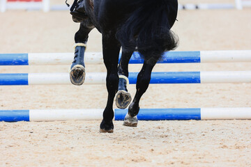 Pass the line. Shooting from the back. Equestrian sports details. Pony gallops. Horse Jumping, Show...