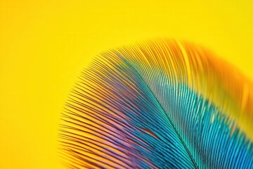 macro close-up of a colorful feather against a bright yellow background, showcasing intricate patterns and hues, embodying beauty and vibrancy in nature's details