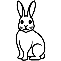 white rabbit on white background