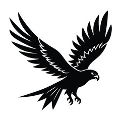 eagle vector illustration