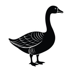 goose on white background vector illustration
