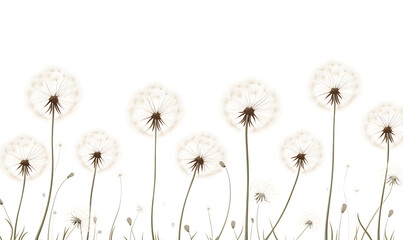 flowers and leaves in pictures illustrator2D