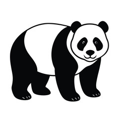 panda bear vector illustration