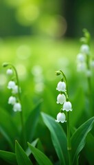Obraz premium A field of lily of the valley flowers gently swaying in the wind, floral, airy, blooming