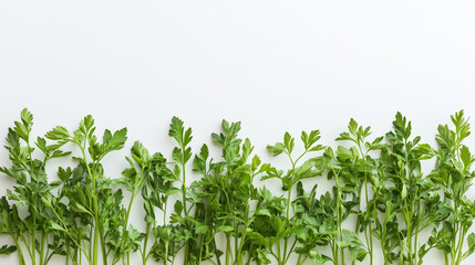 Freshly harvested baby carrots with vibrant green tops ready for cooking or snacking on a clean surface
