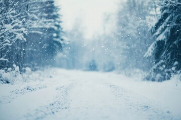 Tranquil Snowy Road Surrounded by Winter Forest Landscape