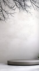 Fototapeta premium A minimalist setting featuring a circular platform and bare branches against a neutral wall, evoking simplicity and tranquility.