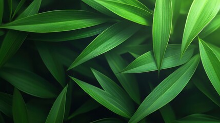 Lush green tropical leaves overlapping in soft focus vibrant botanical background with natural light and smooth texture
