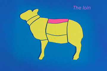 The diagram of the lamb carcass, made of soft fabric, highlights the loin area and the corresponding inscription in bright color on a blue background.