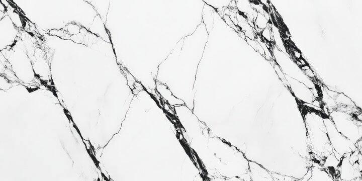 Monochrome marble background with intricate black and white veins, modern minimalist stone texture.