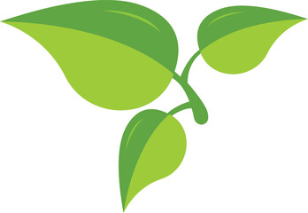 plant stem, Green leaves