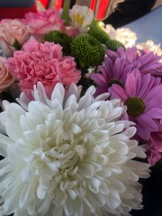 bouquets and compositions in boxes of fresh flowers