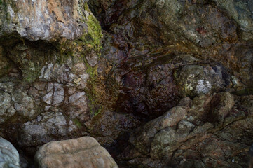 Close up of a rock with moss and lichen in a cave