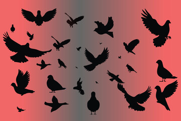 Bird silhouette set