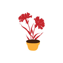  Red  flower