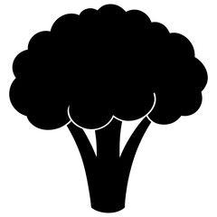 vector silhouette broccoli on white back ground 