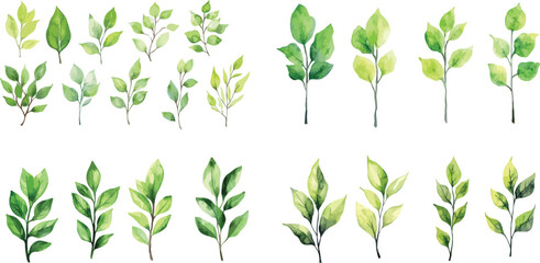 Set of tropical green leaves isolated on white background. A set of vector watercolor leaves and branches. Lovely design elements to make your own patterns, 