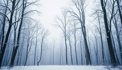 winter forest in the fog