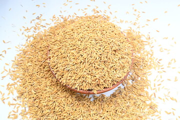Wooden bowl filled with paddy. Its called brown rice or unmilled rice. Rice is produced by removing the husk layer from paddy. Paddy seeds or rice seeds. 