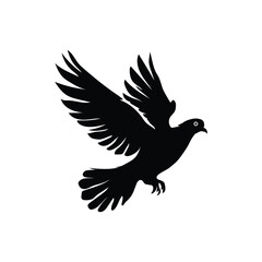 Pigeon illustration vector on white background.