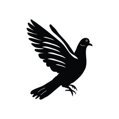 Pigeon illustration vector on white background.