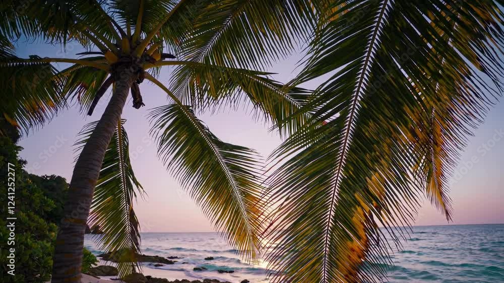 Poster relaxing sunset at a tropical beach with palm trees swaying gently by the ocean shore