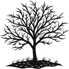 vector tree silhouette without leaf