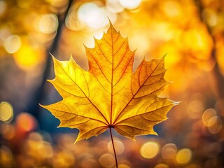 Obraz premium Vibrant Yellow Maple Leaf Autumn Nature Photography