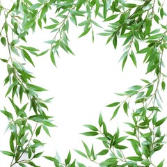 Naklejka premium A vibrant green bamboo plant with thick stems