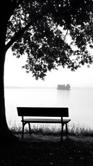 Obraz premium Black-and-white photograph of an old metal bench under a shade tree, overlooking calm lake water 