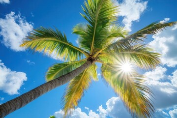 Obraz premium tropical palm tree swaying against a vibrant blue sky, sunlight streaming through lush fronds, casting playful shadows on soft sand below, evoking a serene beach vibe