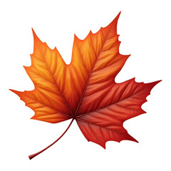 Obraz premium Vibrant autumn red maple leaf