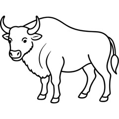 One-Line Buffalo Vector Illustration