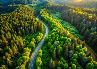Winding Forest Road: Sustainable Development & ESG Integration