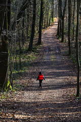 Obraz premium A small child in a bright pink jacket standing on a path covered with dry leaves in the middle of the forest