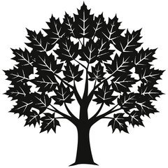 Obraz premium vector maple tree silhouette