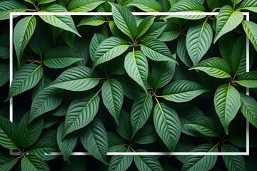 green leaves background